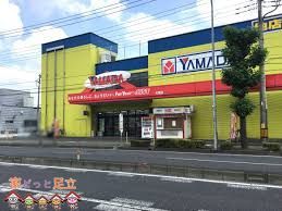 ���ӊ��@���}�_�f���L�e�b�N�����hNew�_�C�N�}��{�X �k��36���B 2810m