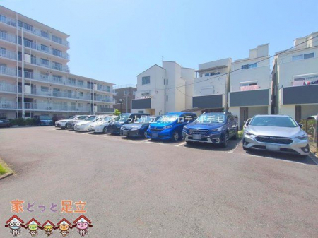 ���n�O�ώʐ^�@�B�e��(2025-05-20 00:00:00)