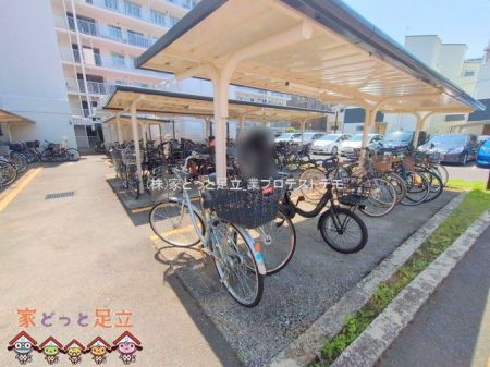 ���n�O�ώʐ^�@�B�e��(2025-05-20 00:00:00)