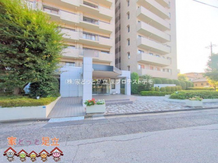 �G���g�����X�@�B�e��(2025-09-17 00:00:00)