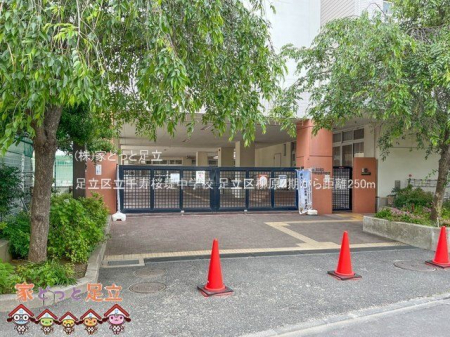 ���ӊ��@�����旧������璆�w�Z �B�e��(2023-05-26) 250m