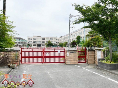 ���ӊ��@�����旧���{��w�����{���w�Z �B�e��(2023-05-25) 1250m
