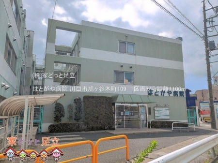 ���ӊ��@�͂Ƃ���a�@ �B�e��(2025-06-01) 1100m