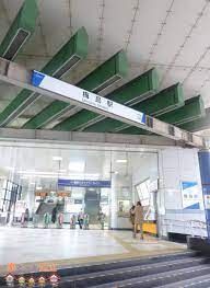 ���ӊ��@�~���w(���� �X�J�C�c���[���C��) �k��19���B 1500m
