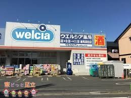 ���ӊ��@�E�G���V�A���n�����X �k��6���B 430m