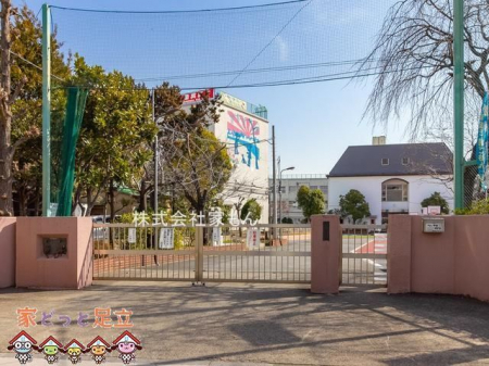 ���ӊ��@�����旧�퐶���w�Z �k��11���B 880m