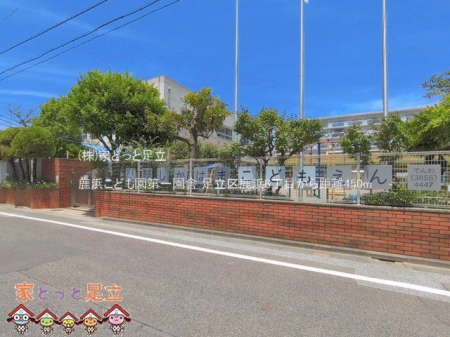 ���ӊ��@���l���ǂ�����ꉀ�� �B�e��(2026-06-17) 450m