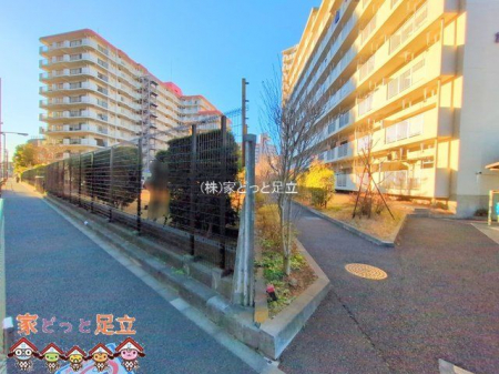 ���n�O�ώʐ^�@�B�e��(2025-01-17 00:00:00)