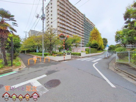 ���n�O�ώʐ^�@�B�e��(2025-10-15 00:00:00)