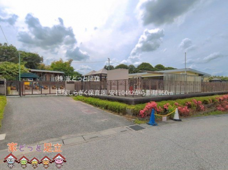���ӊ��@�˒˂��炬���ۈ牀 �B�e��(2026-05-27) 950m