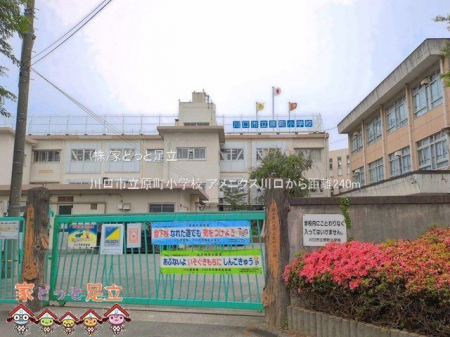 ���ӊ��@����s���������w�Z �B�e��(2025-05-29) 240m