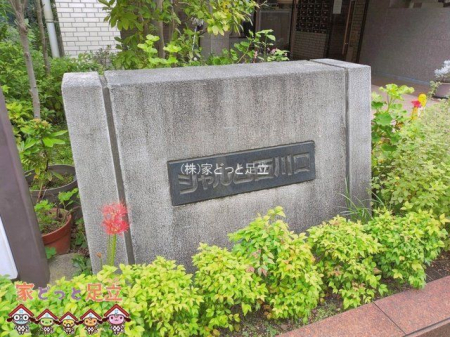 ���n�O�ώʐ^�@�B�e��(2026-09-18 00:00:00)