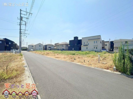 その他　撮影日(2024-07-22 00:00:00)