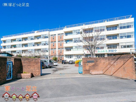 ӊ@s_wZ Be(2021-02-16) 2800m
