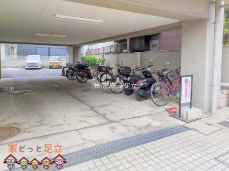 nOώʐ^@Be(2025-03-11 00:00:00)