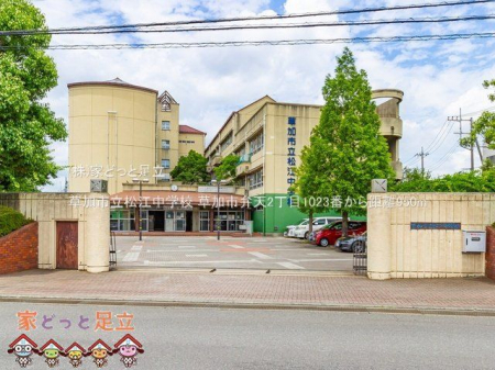 ӊ@s]wZ Be(2021-06-21) 950m