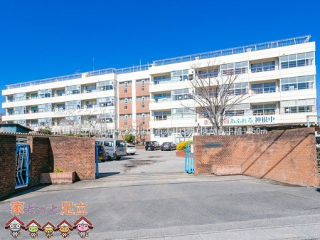 ӊ@s_wZ Be(2021-02-16) 1450m