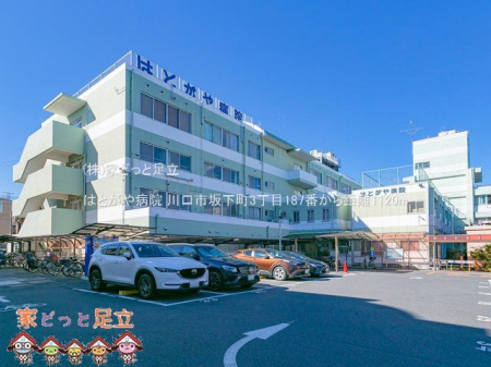 ӊ@͂Ƃa@ Be(2021-02-18) 1120m