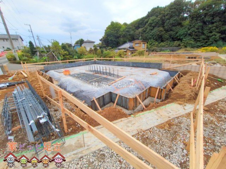 ���n�O�ώʐ^�@�B�e��(2025-10-24 00:00:00)