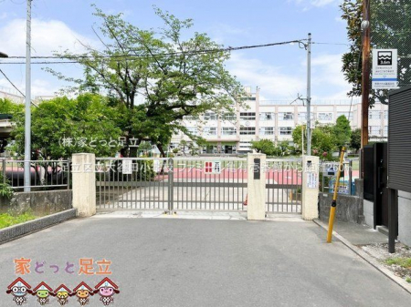 ӊ@旧JcwZ Be(2023-05-12) 260m