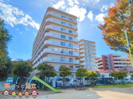 nOώʐ^@Be(2025-11-10 00:00:00)