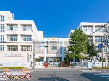 ӊ@sؒwZ k7B 520m