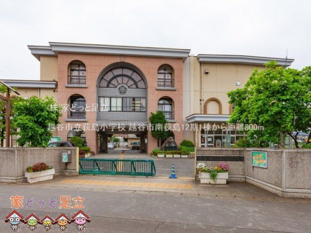 ӊ@zJswZ Be(2021-05-20) 800m