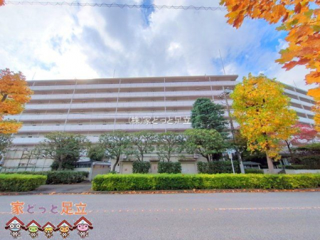 nOώʐ^@Be(2024-11-18 00:00:00)