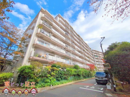 nOώʐ^@Be(2024-11-18 00:00:00)