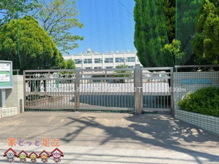 ӊ@旧JwZ Be(2023-05-04) 300m