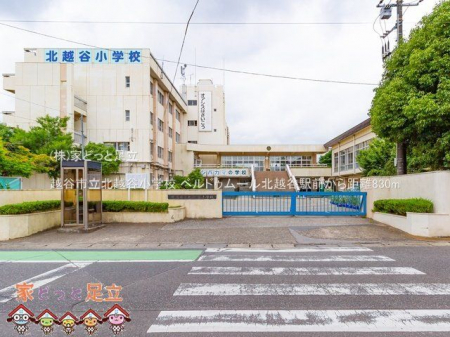 ӊ@zJskzJwZ Be(2021-06-24) 830m