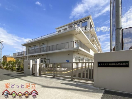 ӊ@旧l؂̉ԒwZ k11B 860m