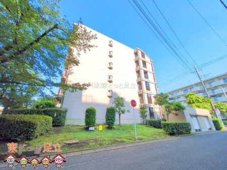 nOώʐ^@Be(2025-06-17 00:00:00)