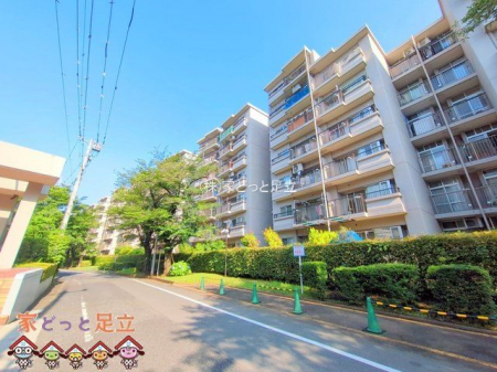 nOώʐ^@Be(2025-06-17 00:00:00)