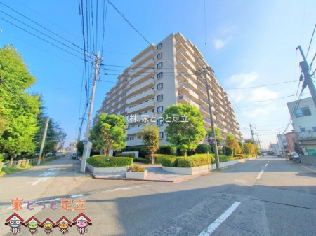 ���n�O�ώʐ^�@�B�e��(2025-09-17)