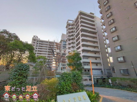 ���n�O�ώʐ^�@�B�e��(2026-01-05)