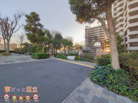 ���n�O�ώʐ^�@�B�e��(2026-01-05 00:00:00)