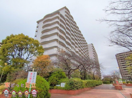 ���n�O�ώʐ^�@�B�e��(2025-03-06)