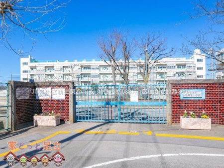 ���ӊ��@����s���V�������w�Z �B�e��(2021-02-19) 800m