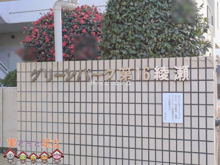 �G���g�����X�@�B�e��(2026-01-15 00:00:00)