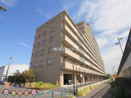 ���n�O�ώʐ^�@�B�e��(2023-10-11 00:00:00)