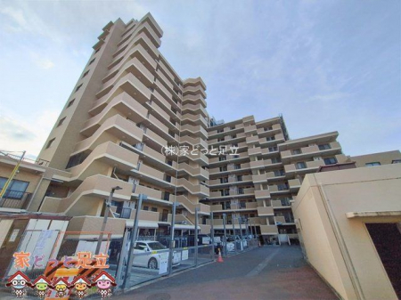 ���n�O�ώʐ^�@�B�e��(2026-01-27)