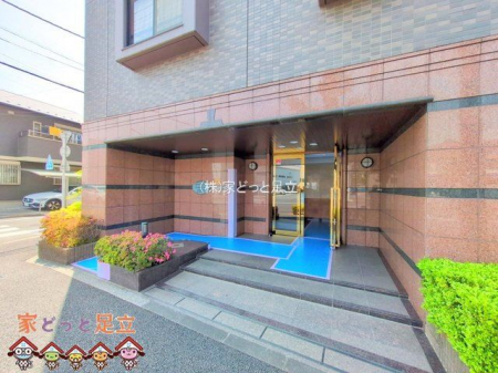 �G���g�����X�@-