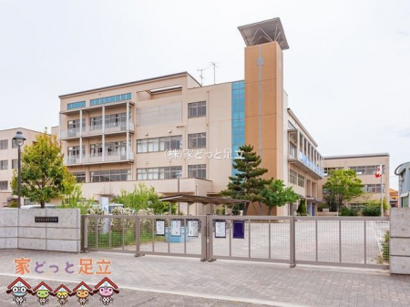 ���ӊ��@�����s���������w�Z �k��7���B 530m