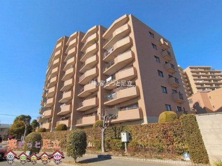 ���n�O�ώʐ^�@�B�e��(2026-02-02 00:00:00)