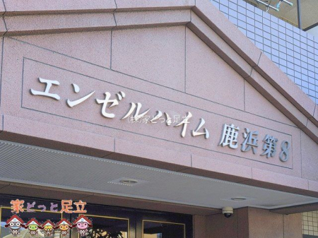 �G���g�����X�@�B�e��(2026-02-03 00:00:00)