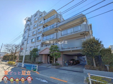 ���n�O�ώʐ^�@�B�e��(2026-02-03)