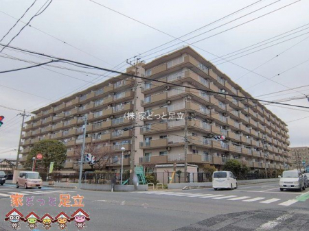 ���n�O�ώʐ^�@�B�e��(2026-02-26)