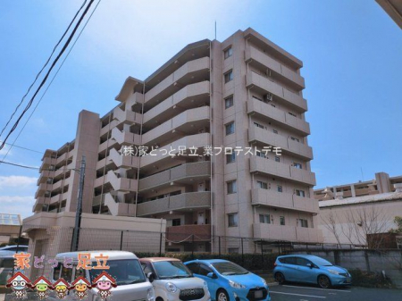 ���n�O�ώʐ^�@�B�e��(2026-03-17 00:00:00)