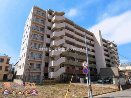 ���n�O�ώʐ^�@�B�e��(2026-03-17 00:00:00)